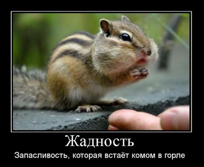 Расфокус в растущем агентстве